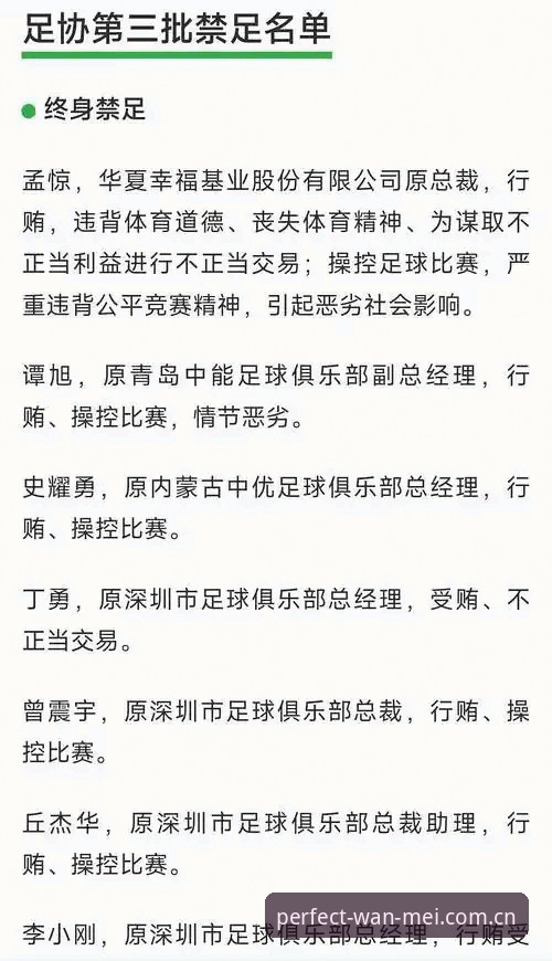 揭秘中国足协第三批禁足名单背后的真相：65人涉案，17人终身禁赛
